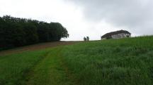  Blick auf die Wanderstrecke 